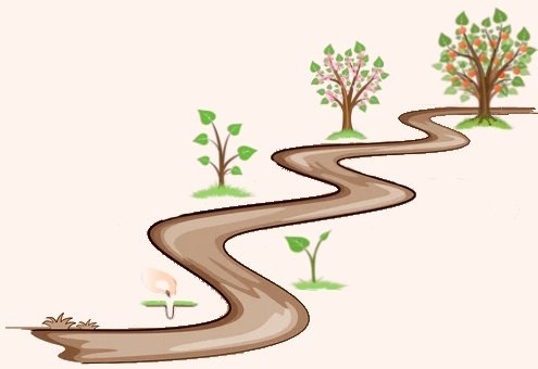 Life Path and growth stages